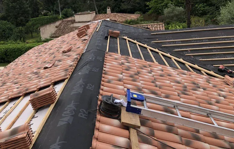 Démoussage de toiture à Muret